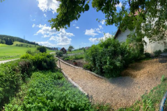 garten-sommer-sonne-bioeier-henne-hahn-fahrrad-schwarzwaldhof