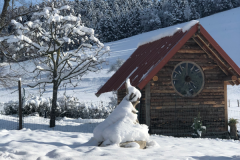 rechtenbach-winter-schnee-bioeier-huehnermobil-huenerwagen-dietger rechtenbach-winter-schnee-bioeier-huehnermobil-huenerwagen-dietger